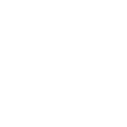 Reset Logo